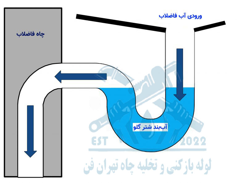 بوی فاضلاب از شتر گلویی